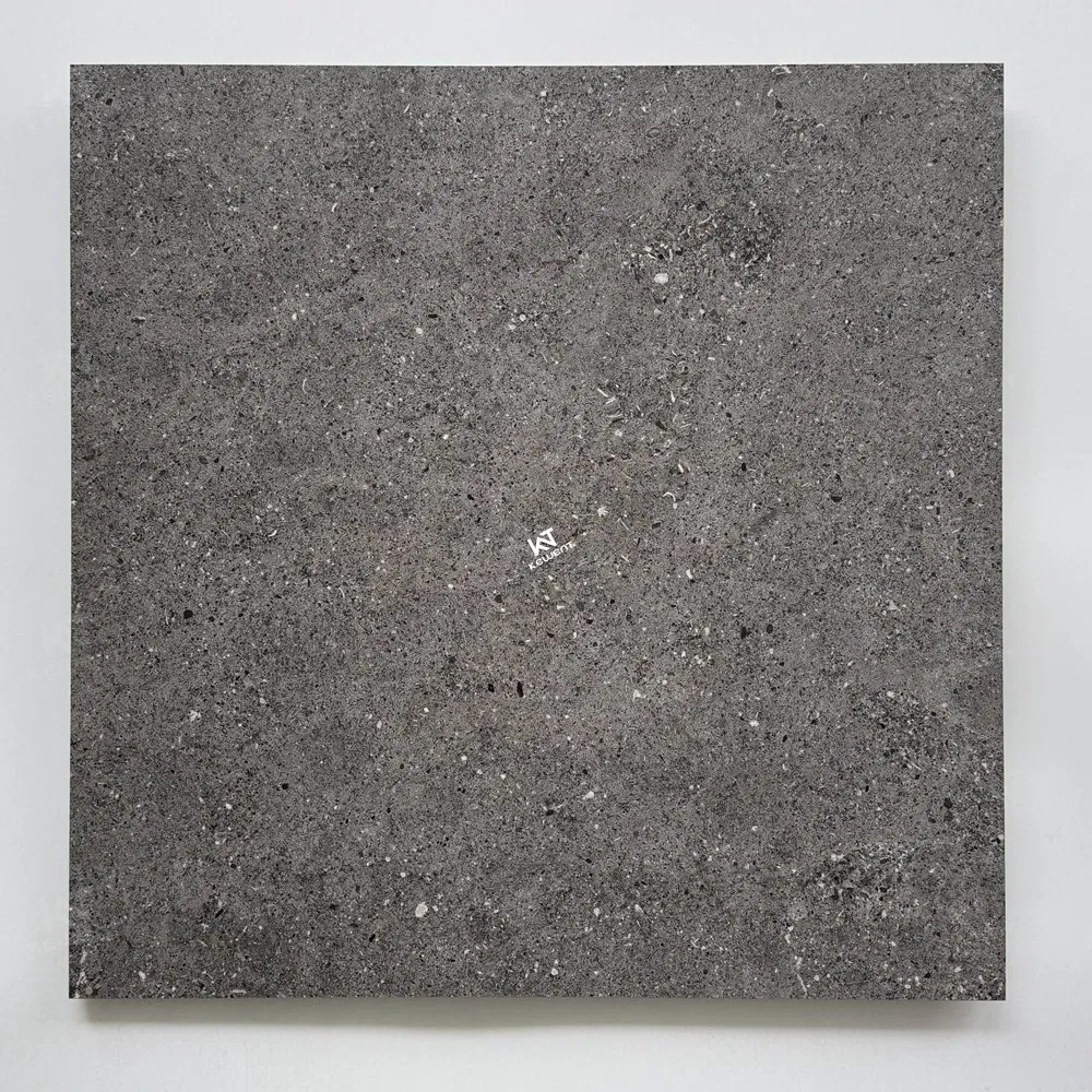 House Porcelain Floor Tiles Gray 600X600 24X24 60X60 600*600 Tiles