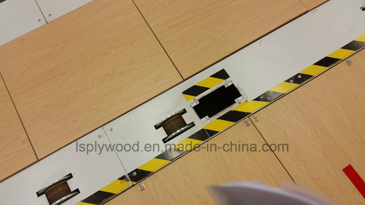 28mm Container Flooring Plywood for Chile Market (Australia)