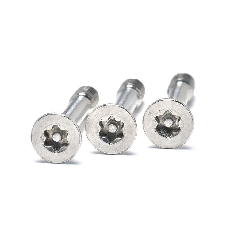 Винты самоконтрящиеся Torx с пином SS304