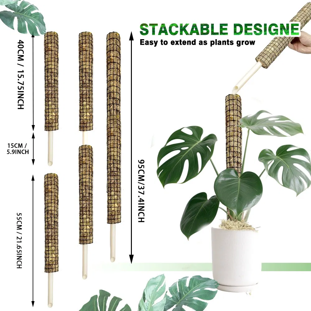 Breathable Sphagnum Moss Pole for Monstera Adansonii & Tropical Climbers