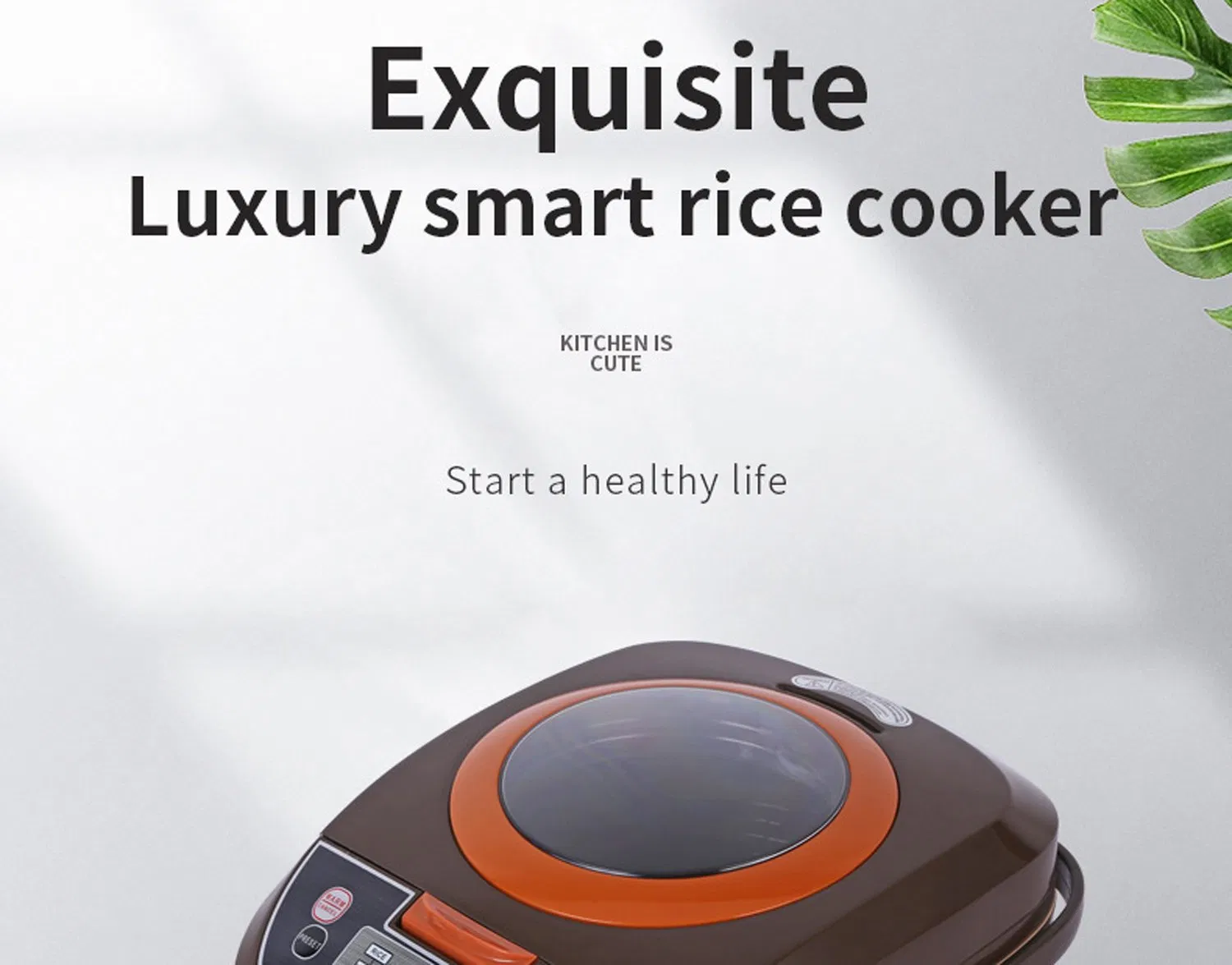 Multifunctional Intelligent Large Capacity Pressure Induction Heating Warmer Electric Rice Cookers