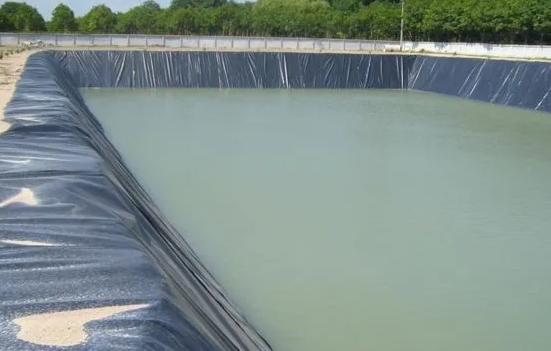 Wholesales 0.5mm Thick HDPE Geomembrane Cheap Price Hard Plastic Pond Liner