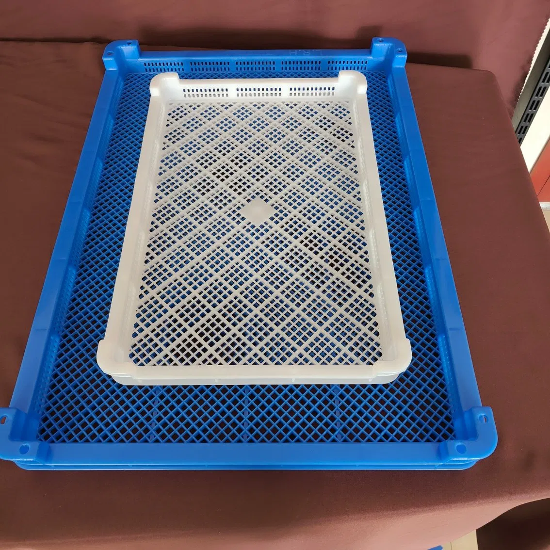 Vented Plastic Food Tray for Seafood Freezing and Fruit Vegetable Drying