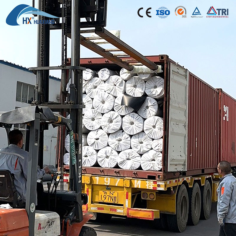 High Quality Composite Geomembrane with Non Woven Geotextile