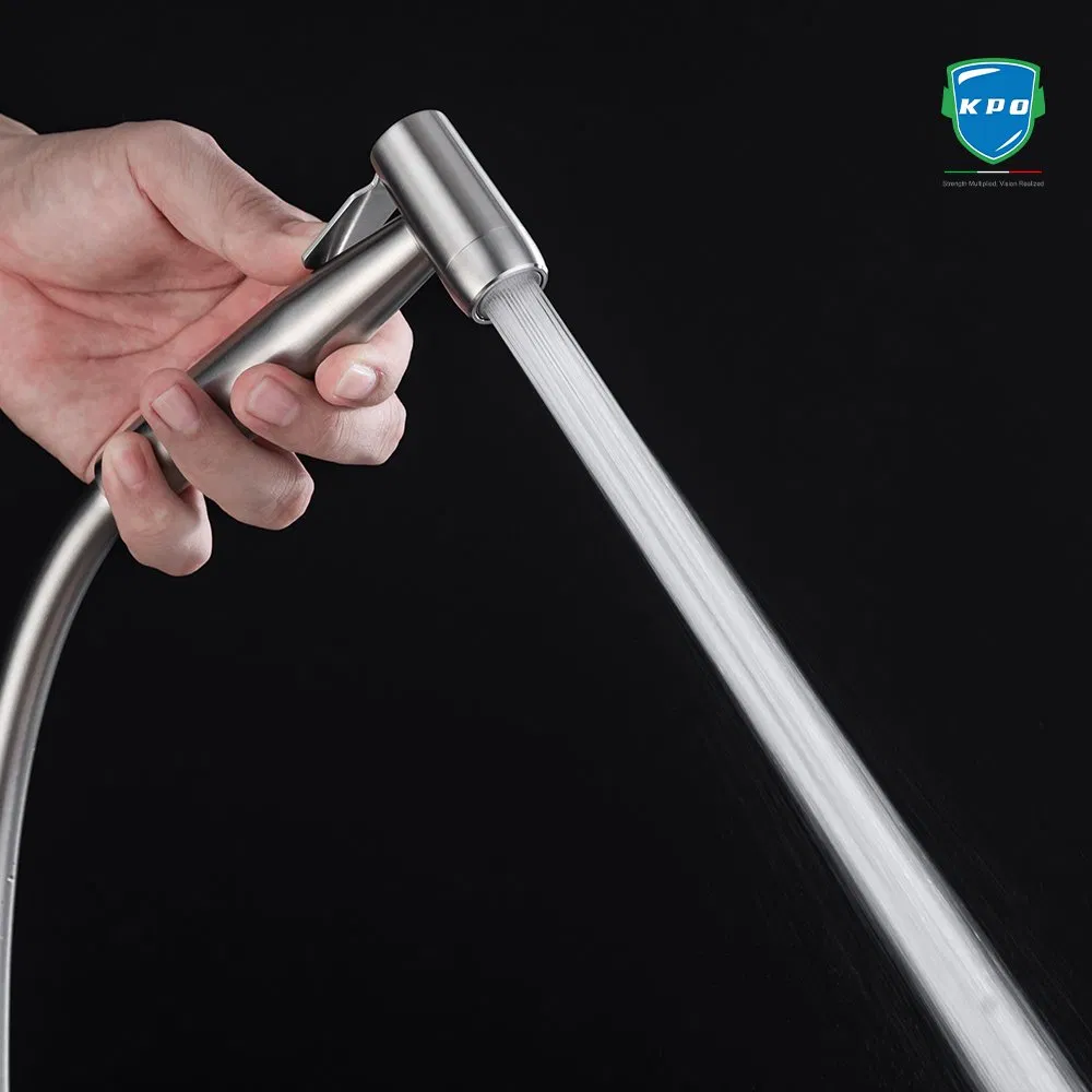 Stainless Steel 304 Shattaf Bidet Hand Sprayer