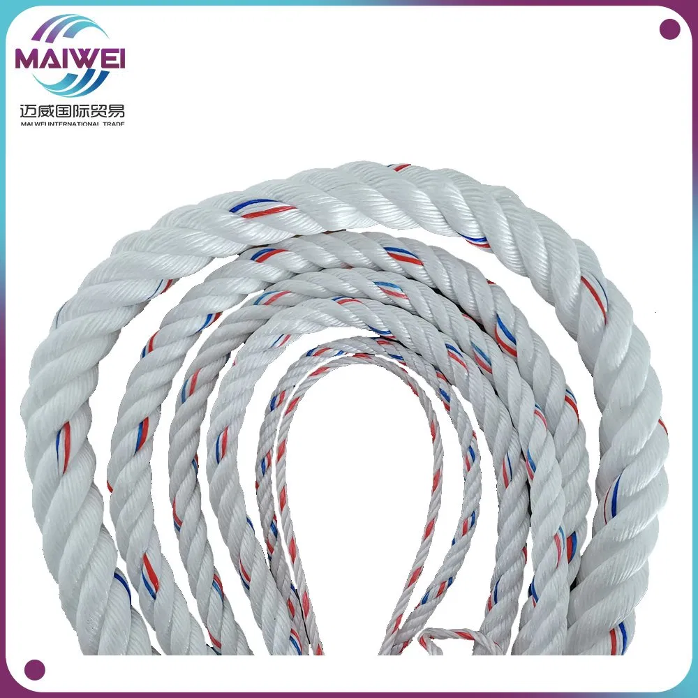 PP/Polypropylene PE/Polyethylene Plastic Mooring Twisted Rope Nylon Twine Polyester Rope Braided Rope PP Tali Manila Rope