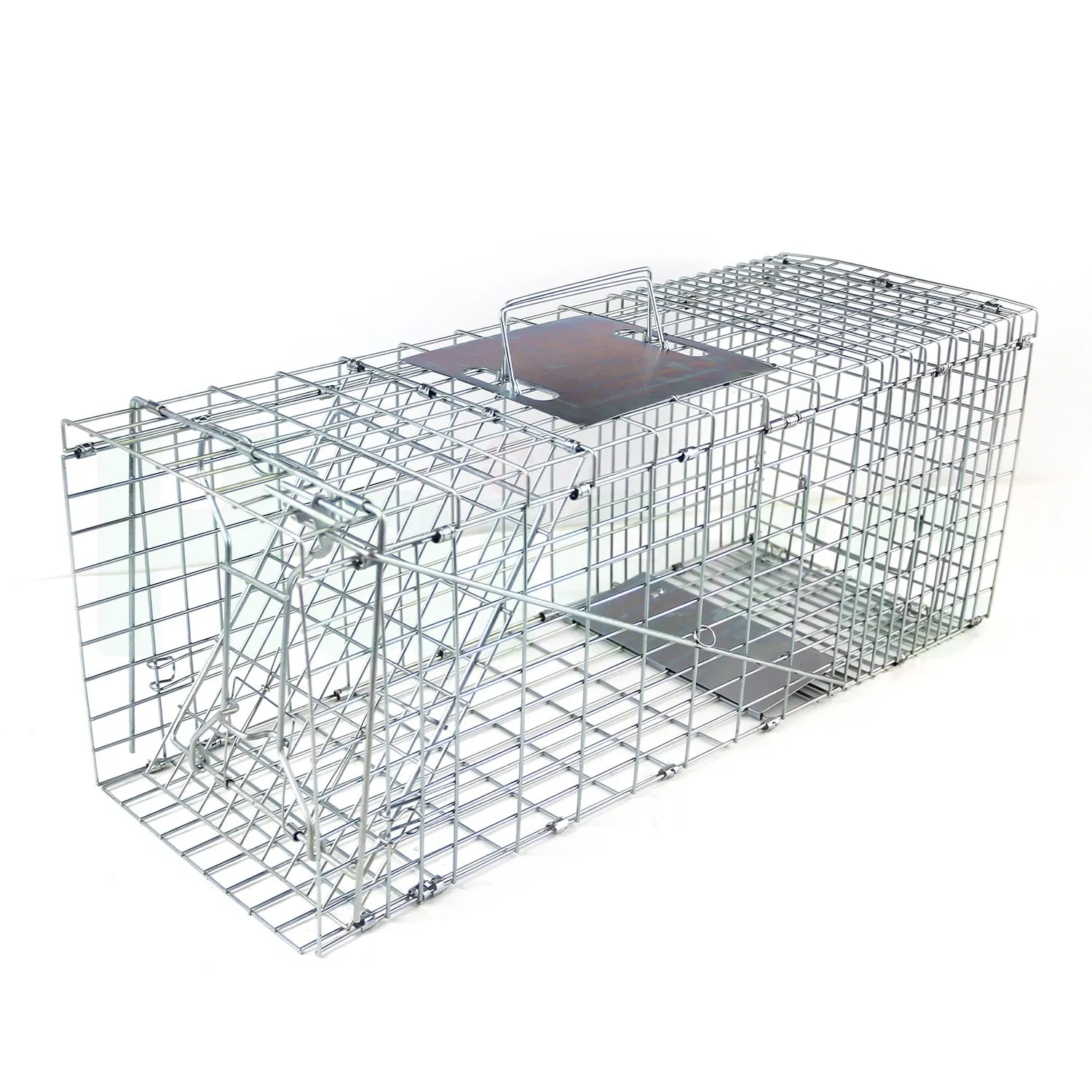 Large Humane Collapsible Live Animal Trap Cage Trapping Rat Possum Raccoon