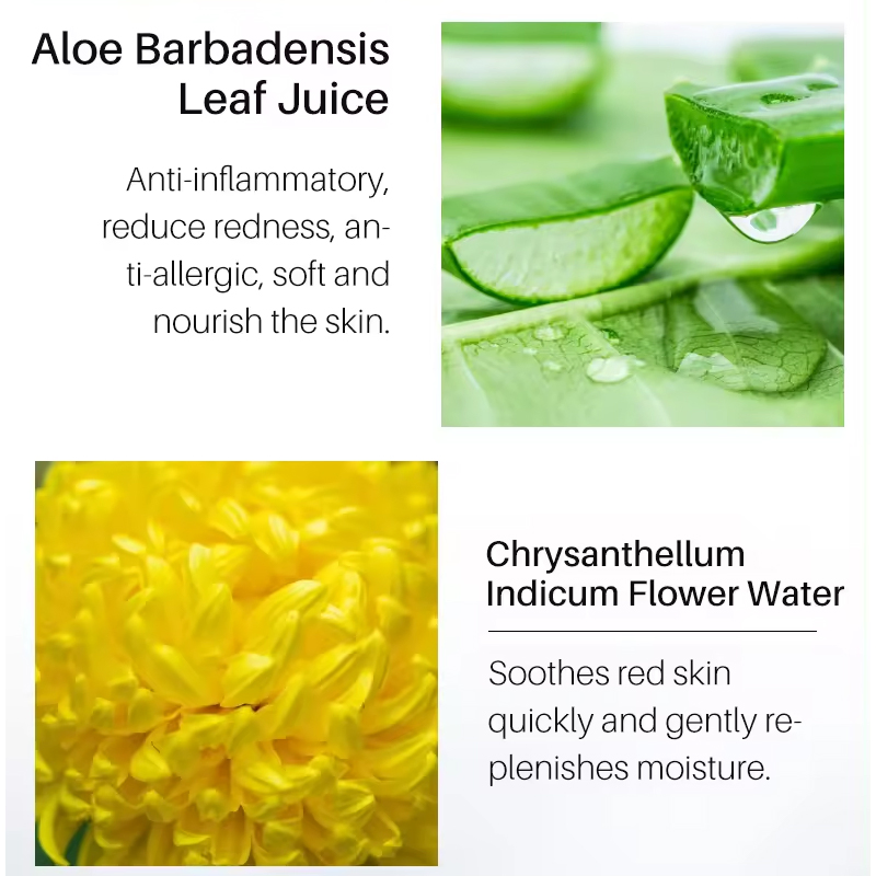 Ditong Face Body Pubic Hair Depilatory Beard Bikini Legs Armpit Painless Hair Removal Spray