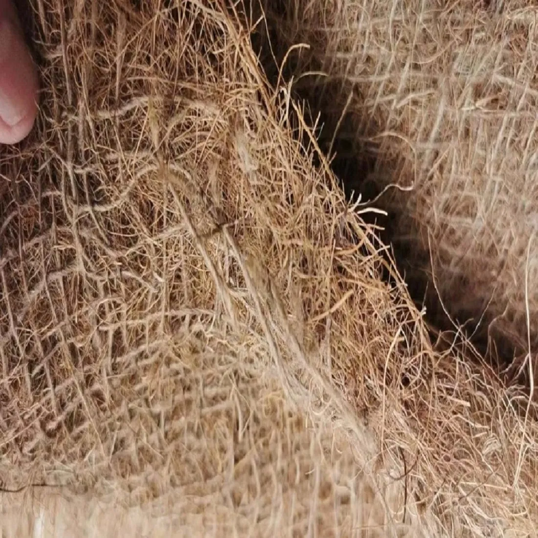 Natural Coconut Fiber Mat for Effective Riverbank Erosion Control