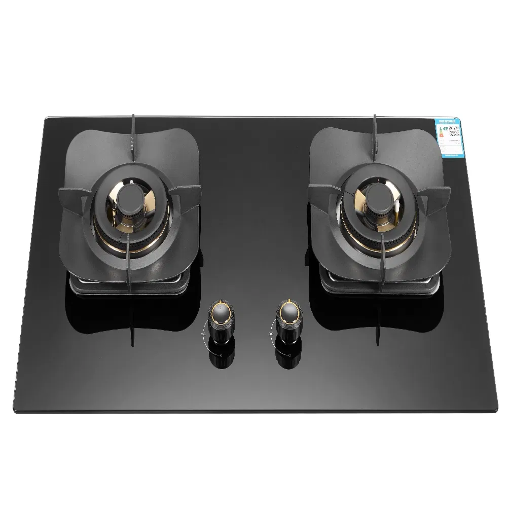 Built in Cookware Stainless Stee/Tempered Glass 2 Burner Gas Stove