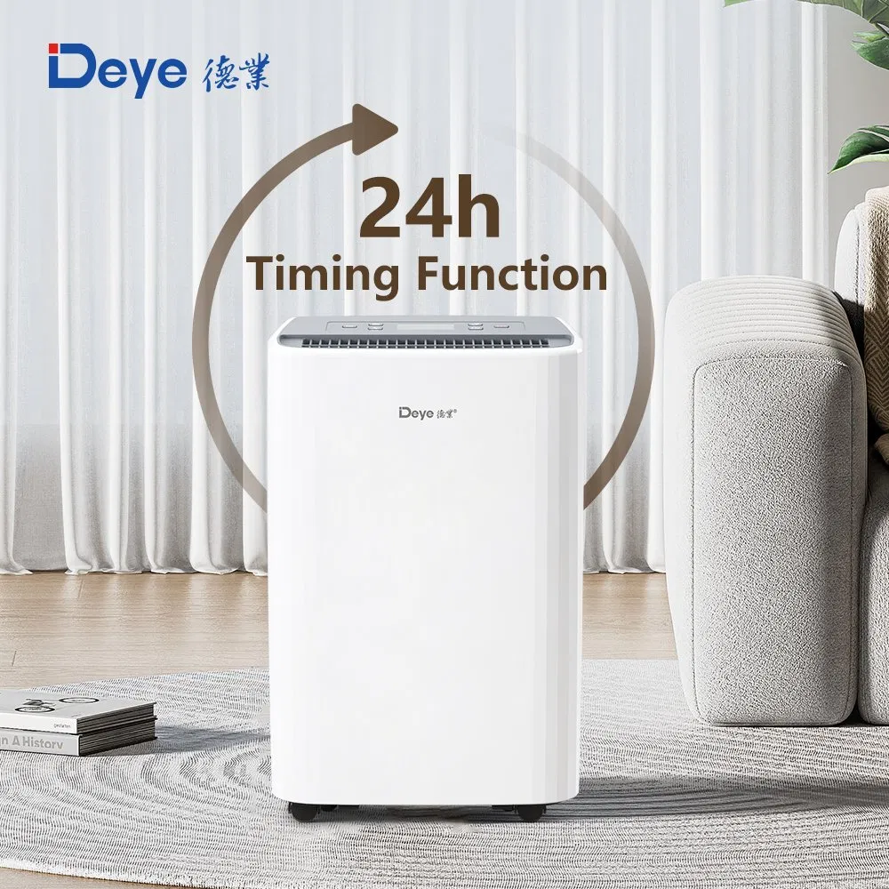 Deye Dyd-A12A Small Home Air Dehumidifier with Ionizer