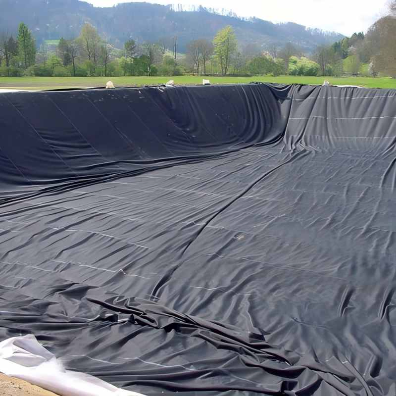 1mm 12 mm EPDM Waterproofing Membrane Geomembrane Dam Landfill Lake Biogas Mining Fish Shrimp Farm Pond Liner Swimming Pool Agricultural Agriculture