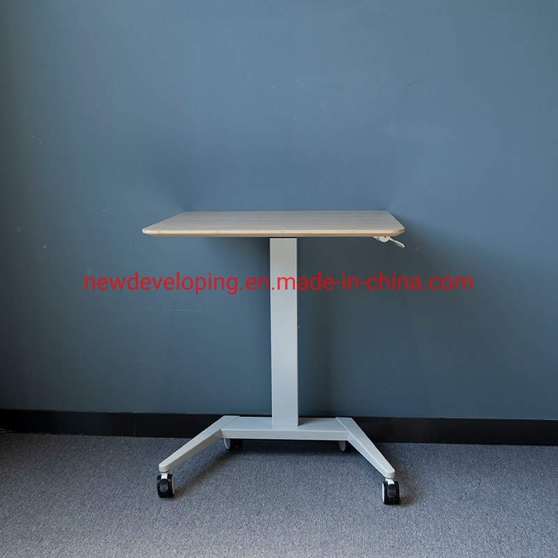 Natural Bamboo Top Standing Table for Laptop