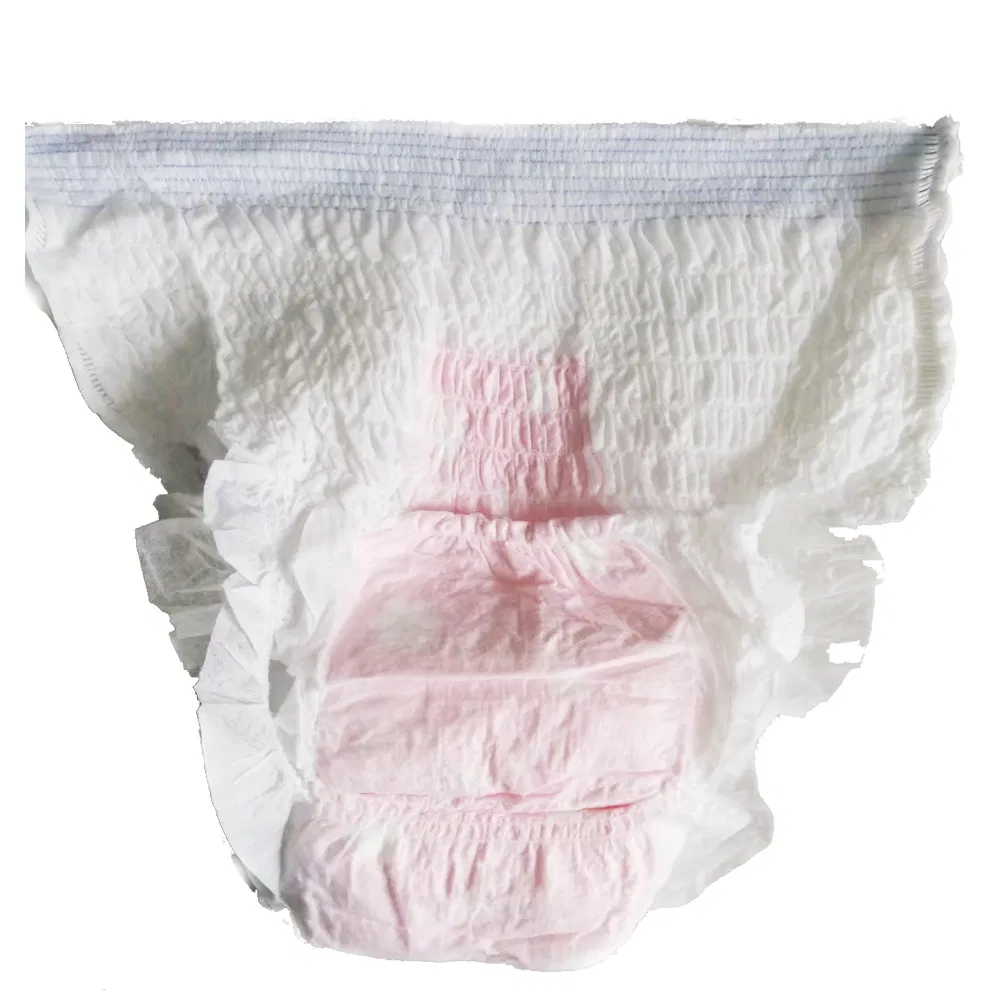 Wearing Panties with Sanitary Napkin Disposable Ladies Pants