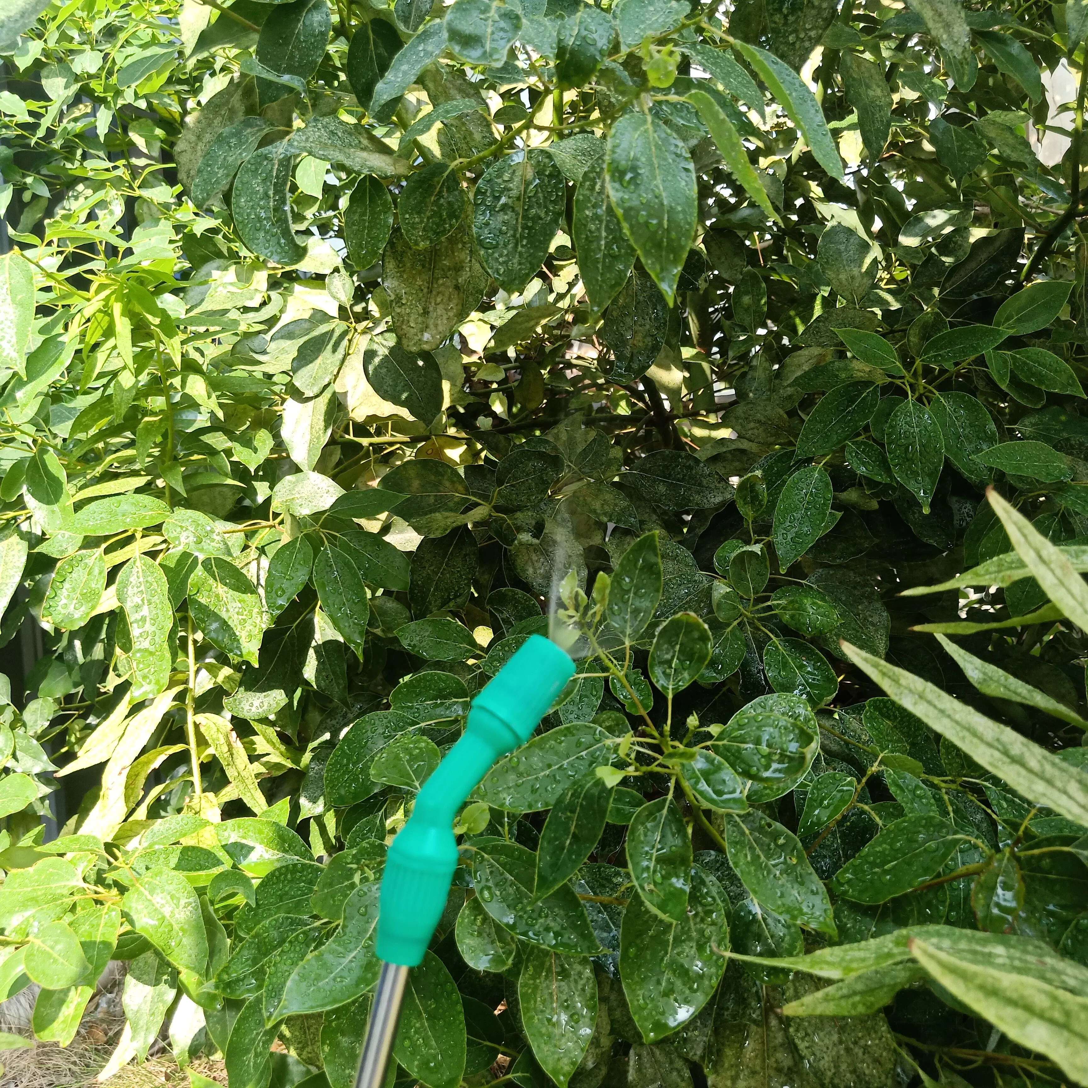 Knapsack Garden Sprayer 5L Hand Pressure Sprayer
