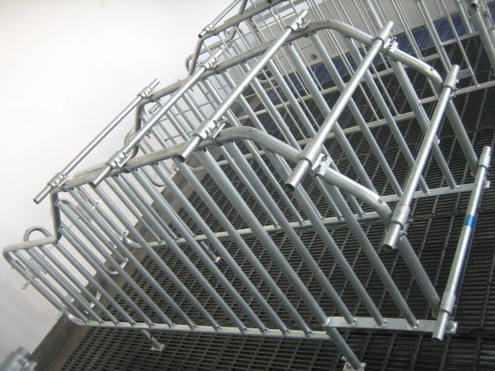 Pig Farm Equipment Sow Gestation Stall