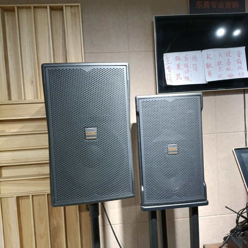 2. High Performance K210 10-Inch Speaker for Studio