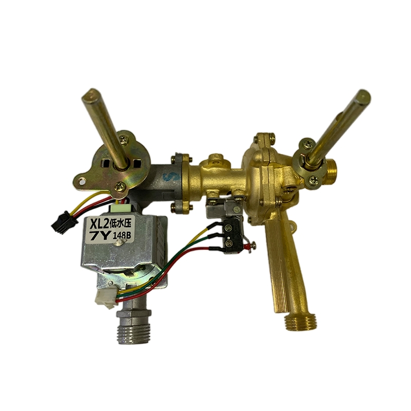 Low-Price Gas Water Heater Brass Valve Spare Part