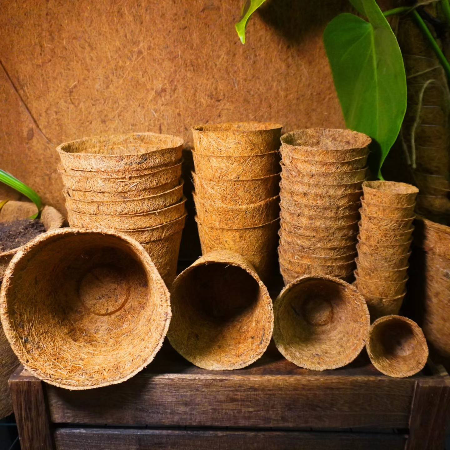 Волокно кокосовое натуральное для растений