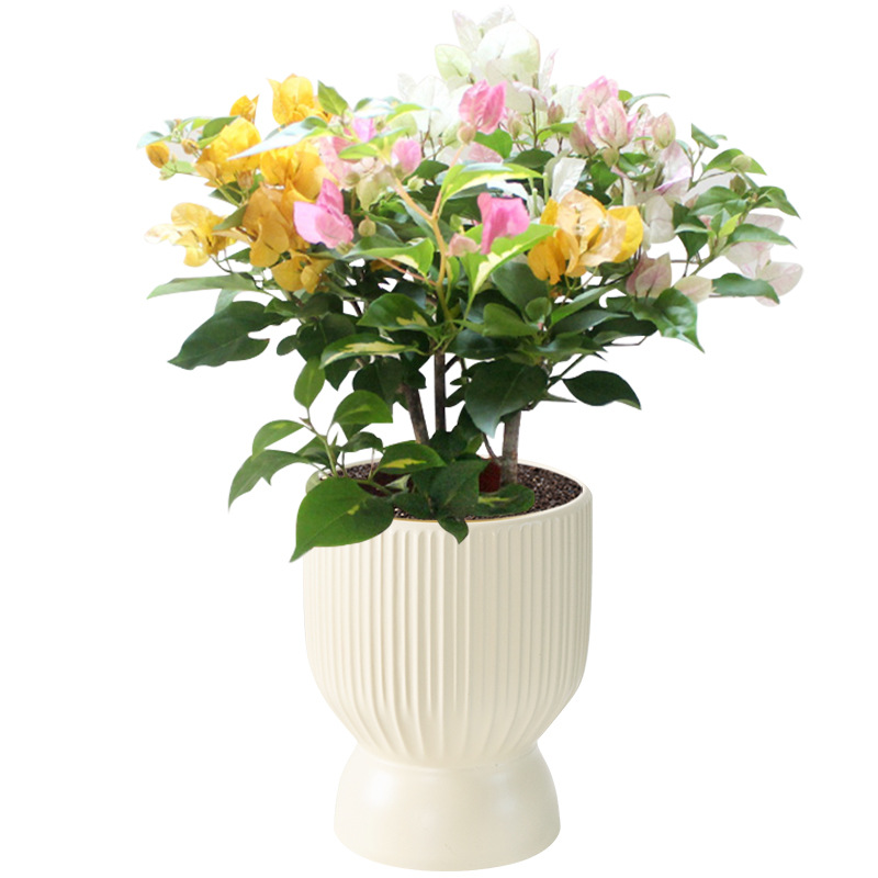 Горшки керамические зеленые мини для растений