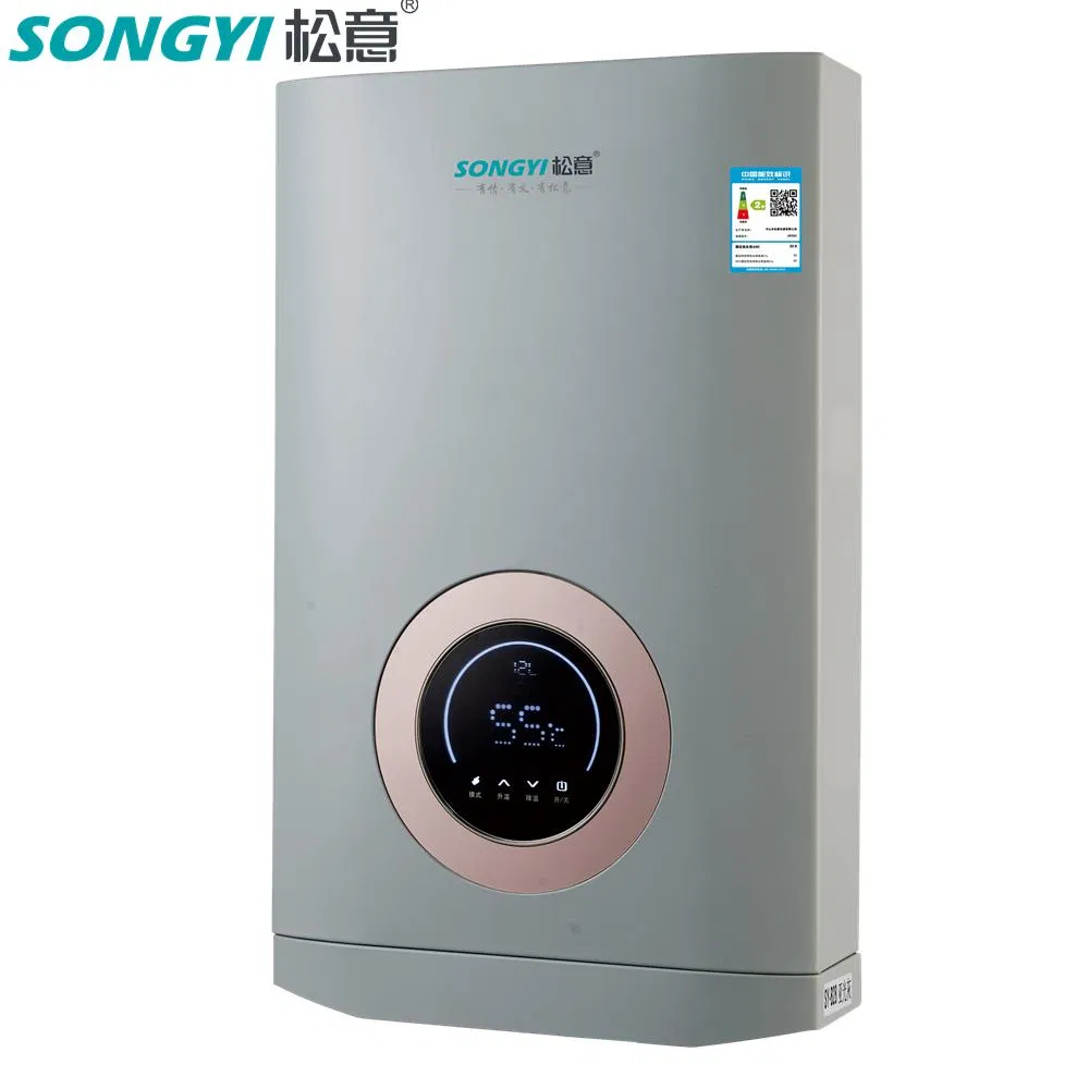 24 Hours Constant Temp Comfortable Instantaneous Heating Gas Water Heater