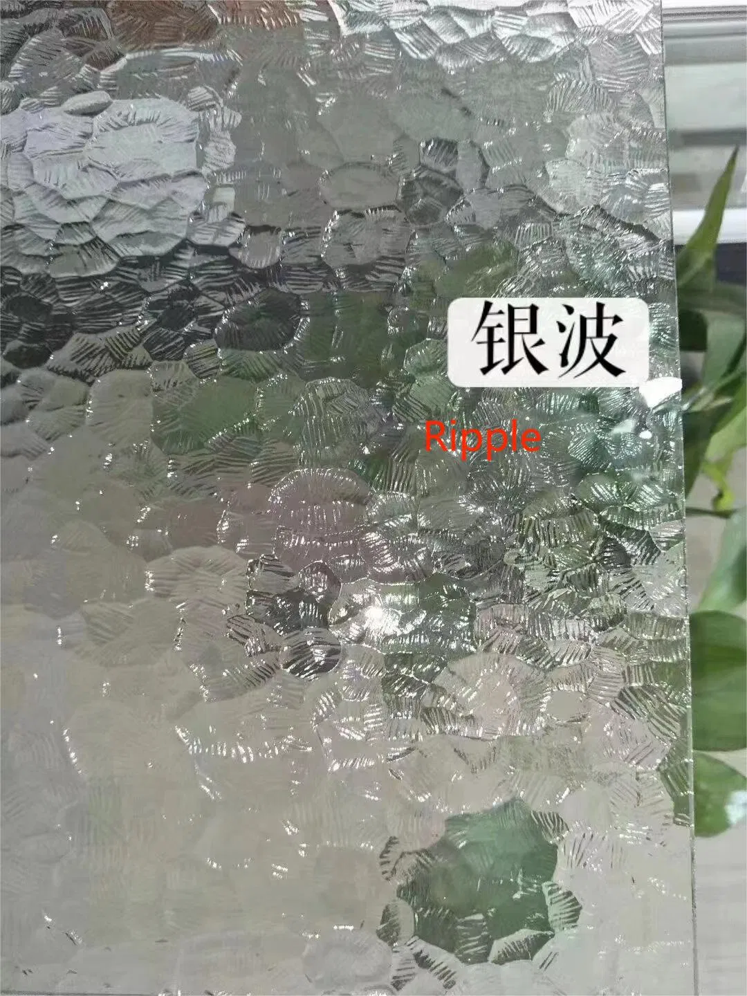 Engraved Glass for The Architecture