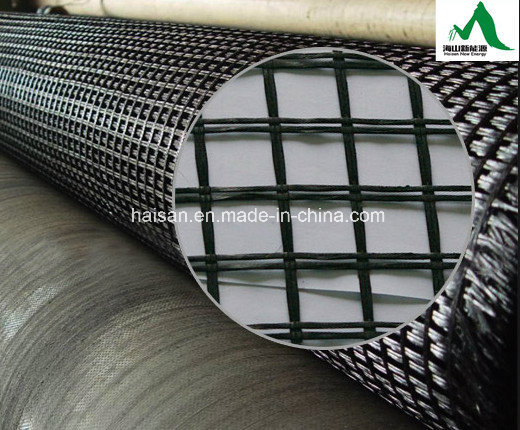 China Gold Providers Warp Knitting Polyester Geogrid with Best Price