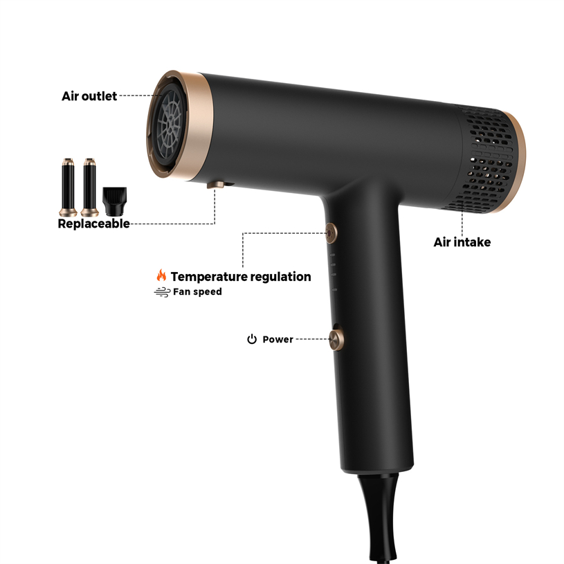 2025 New 2-in-1 5 Minutes Fast Drying 800W 1000W Ionic Hair Styler Hair Dryer and Curler for Salon & Home Use (OEM/ODM Accepted)