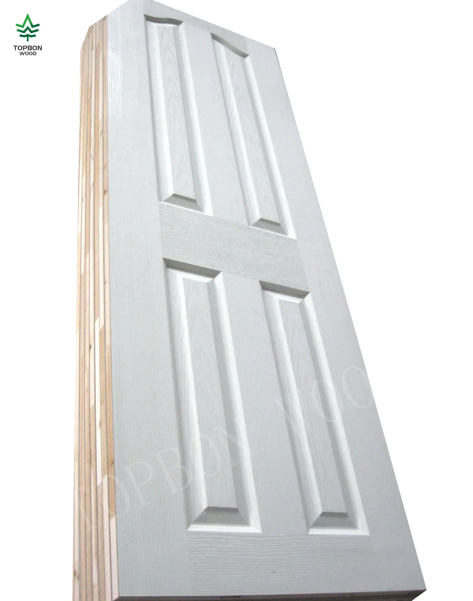 Modern Design White Primer HDF 6 Panel Interior Hollow Core Moulded Doors