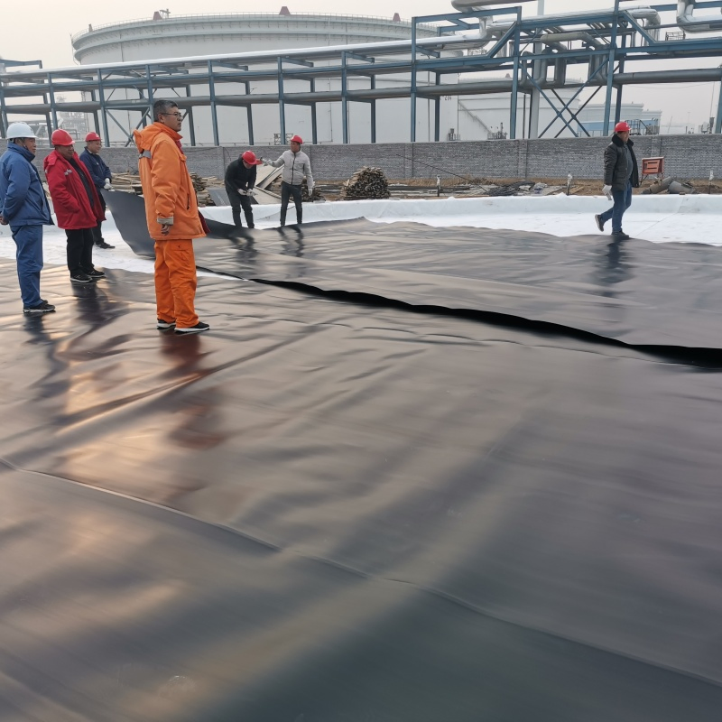 All-Season Geomembrane Fish Pond Liner for Year-Round Fish Care Fish Hatchery Ponds, Lake Bottom Lining and Water Containment