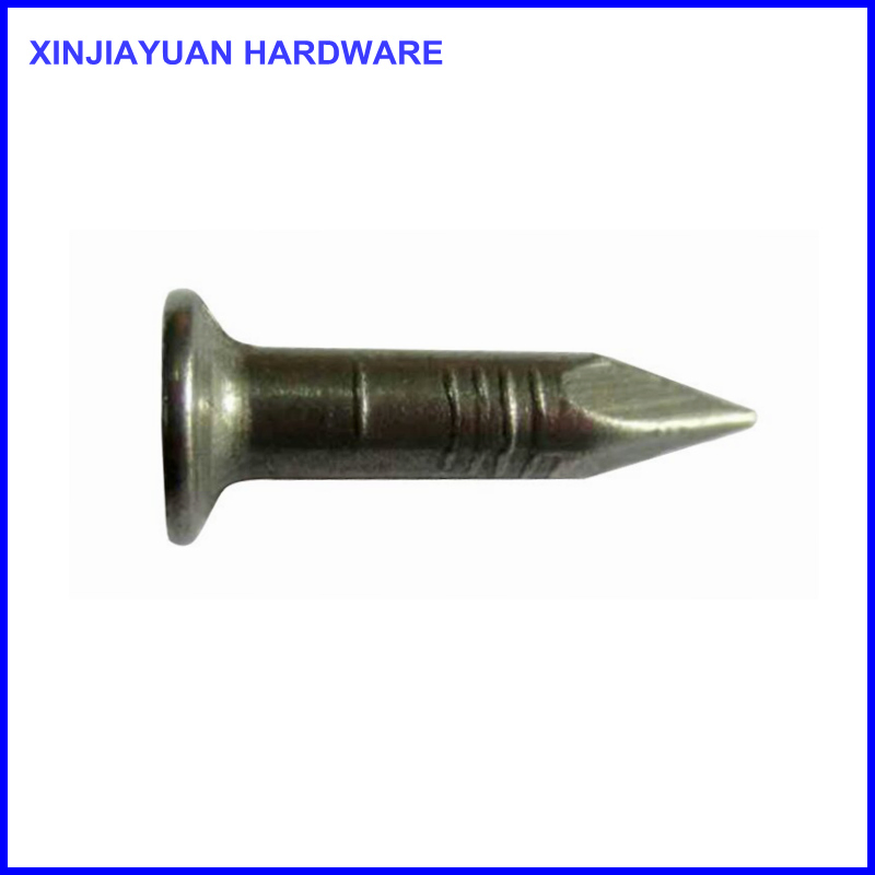 Large Head Masonry Steel Nails Smooth Shank 1/2"