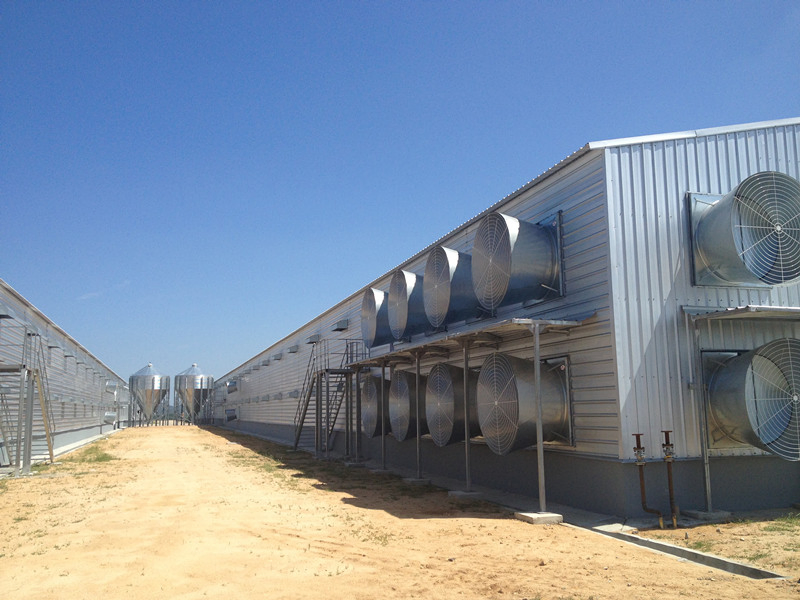 Professional Steel Shed / Storage / Steel Structure / Construction Building with CE Approved