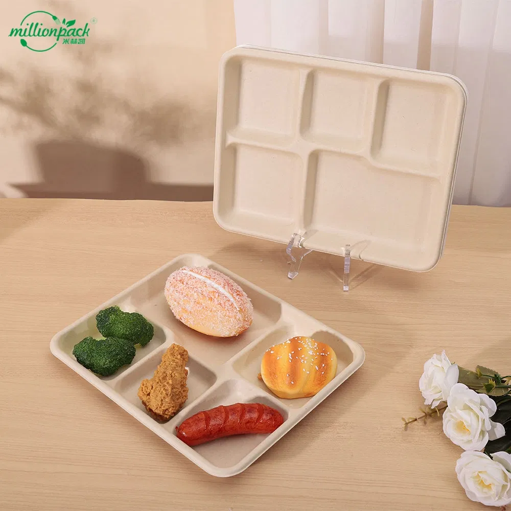 Wholesale Sugarcane Box Elegant Bagasse Tray for Food Trucks and Mobile Vendors