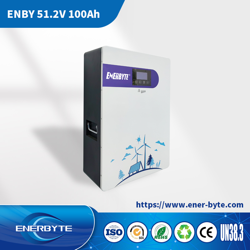 Литий-ионная система хранения энергии 51.2V 100Ah для дома и солнечных панелей