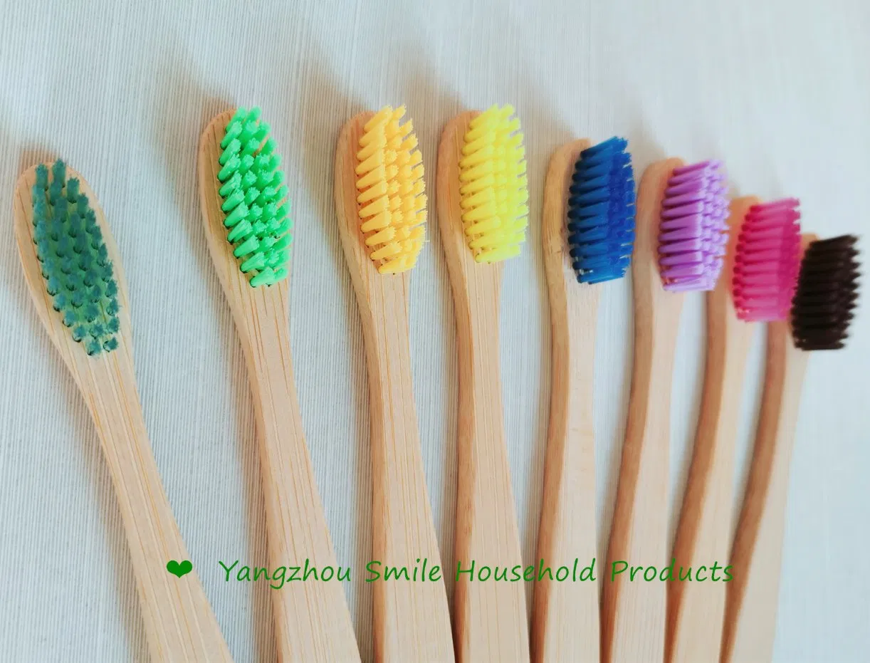 FDA Yangzhou Factory Biodegradable Bamboo Hotel Toothbrush
