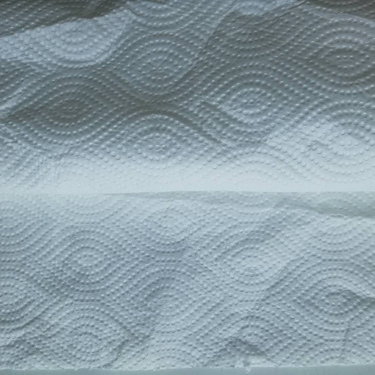 Factory Price Super Suck Eco-Friendly Kitchen Paper