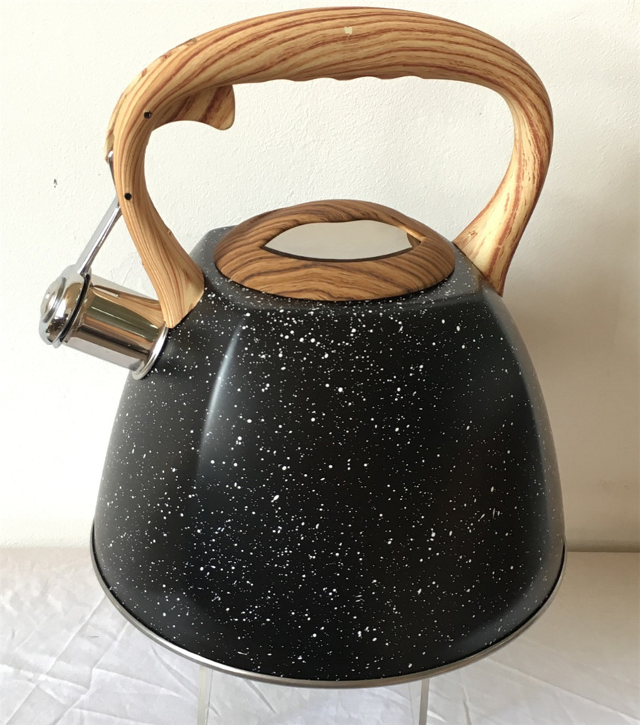 Stainless Steel Kitchenware 3.0 Liter Stainless Steel Teapot in Color Painting Kitchen Appliance