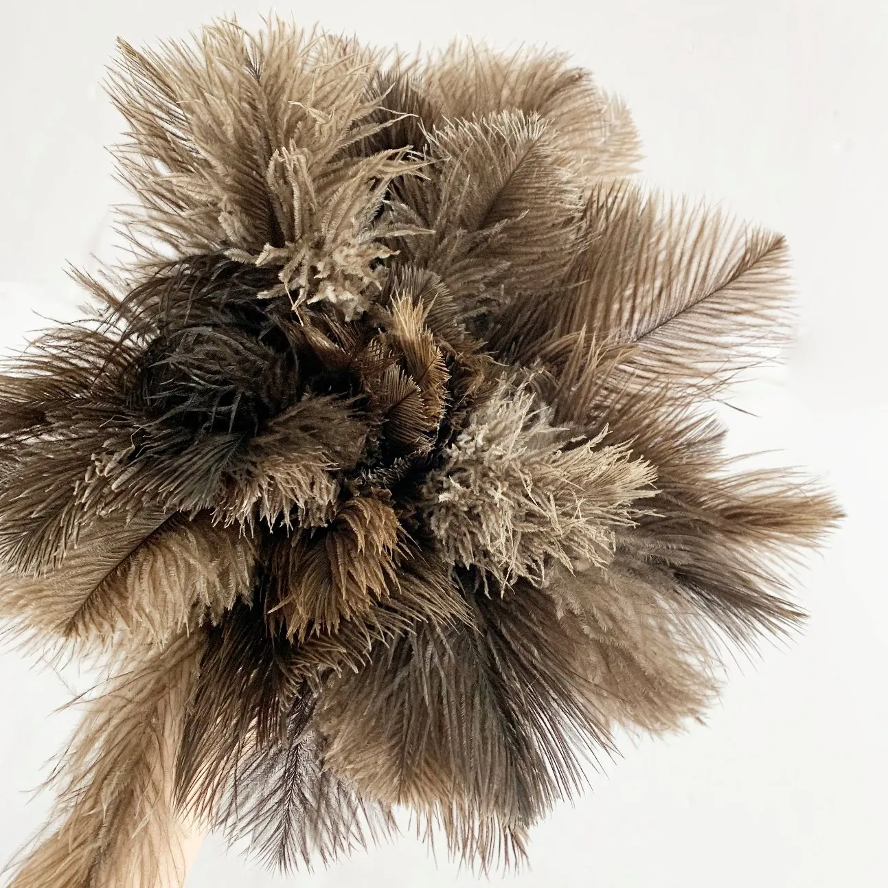 Duster with Super Soft Real Ostrich Feather and Natural Finish Brown Bamboo Handle for Home Furniture Cleaning