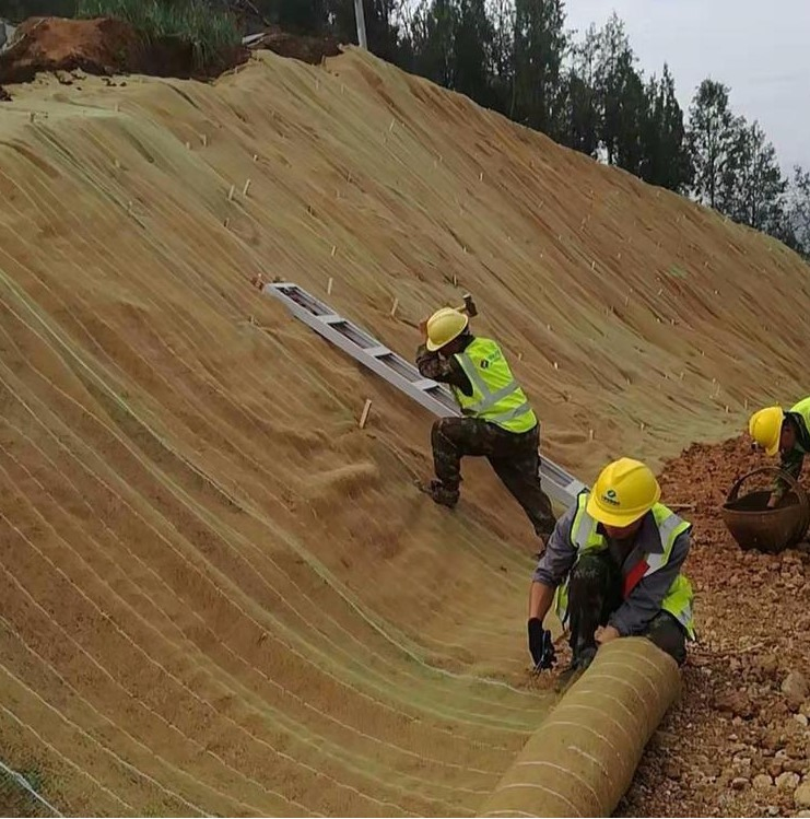 200g 300g 400g 500g 600g Erosion Control Blanket Coir Coconut Fiber Geotextile for Slope Reinforcement