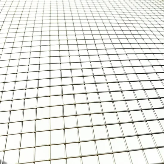 Customizable High-Quality Welded Mesh for Building Protection Materials Welded Wire Mesh