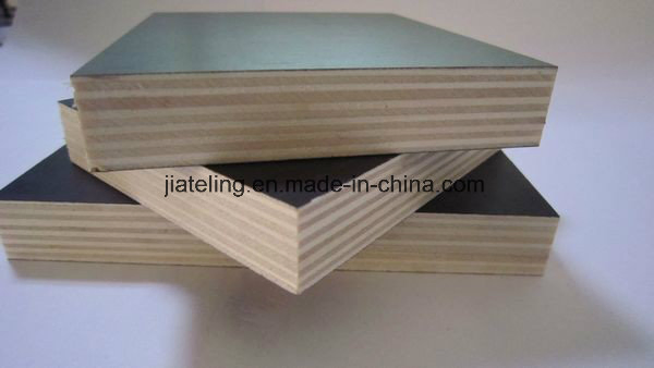 Finger Jointed Boards/Recycle Core Plywood Board