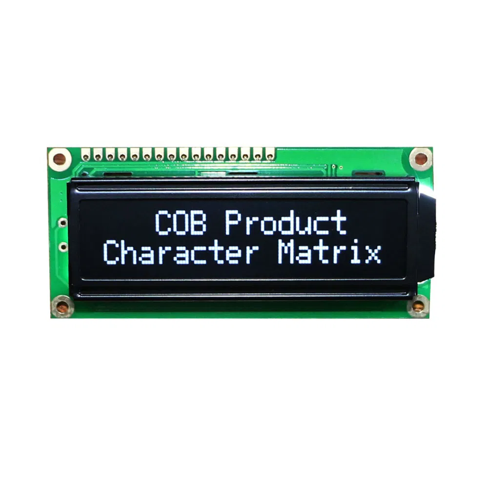 Standard Product Monochrome 1602 COB Module 16*2 Characters LCD Display Panel for Multiple Uses