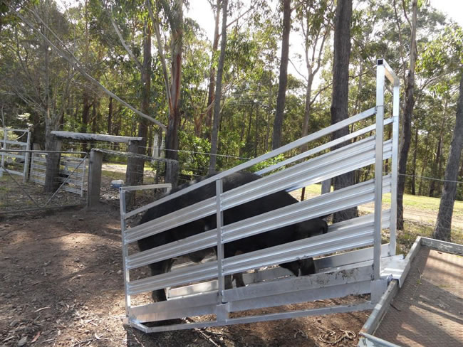 Australia Livestock Cattle Loading Ramp with Sliding Gate