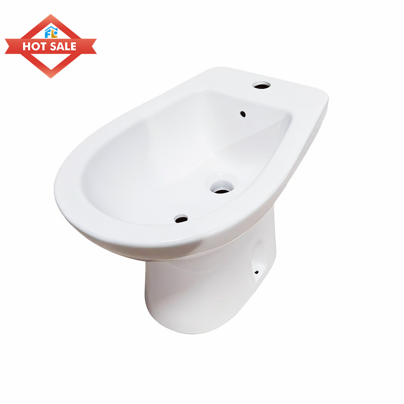 Fluor 2025 Modern Women's Ceramic Bidet Economical Vertical Spray for Easy Cleaning in Bathroom