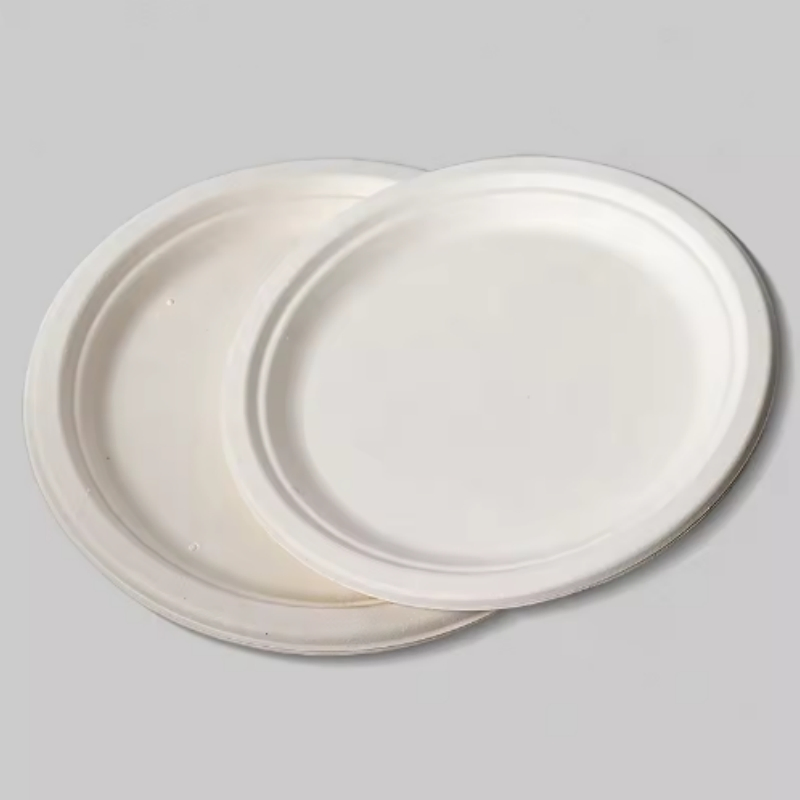 6 Inch 7 Inch 9 Inch 10 Inch Eco-Friendly Salad Plate