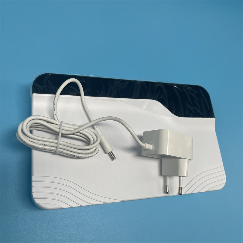 Air Purifier 10 G Household Portable Ozonizer Sterilize 60 G Ozone Generator