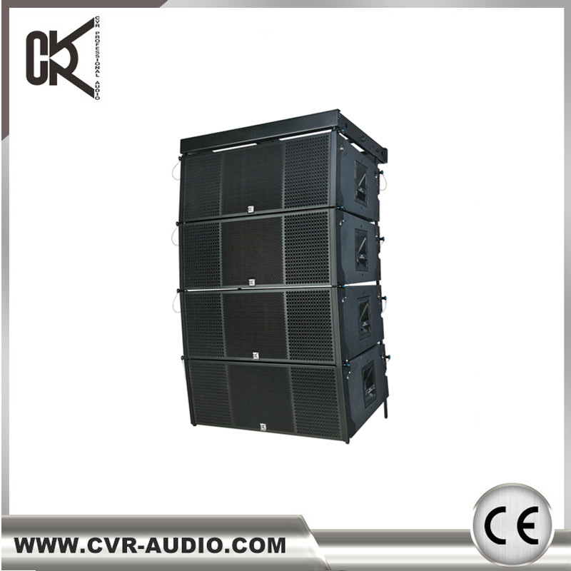 Dual 12 Inch Professional Neodymium Line Array