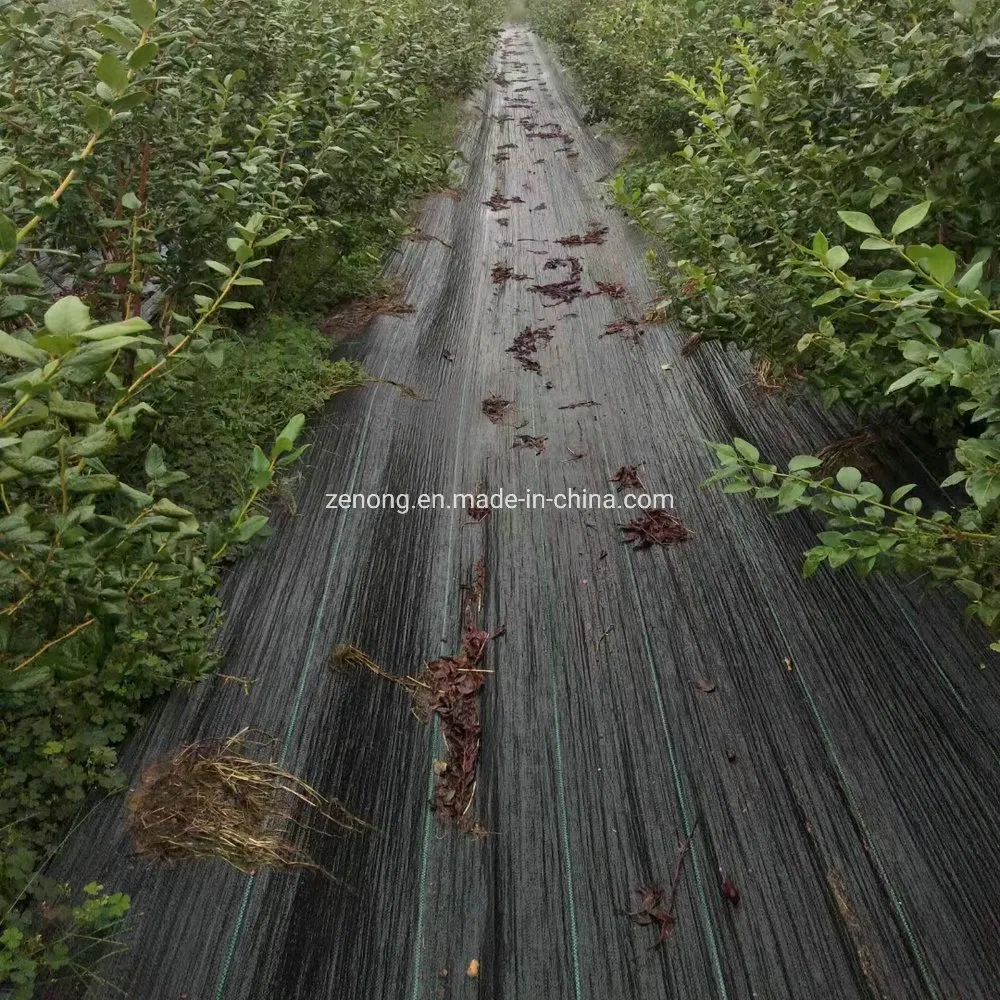 Anti Grass Cloth, Black Weed Control Mat with Line, 100% PP Woven Textile