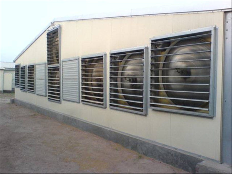 High Quality Prefab Steel Frame Broiler House