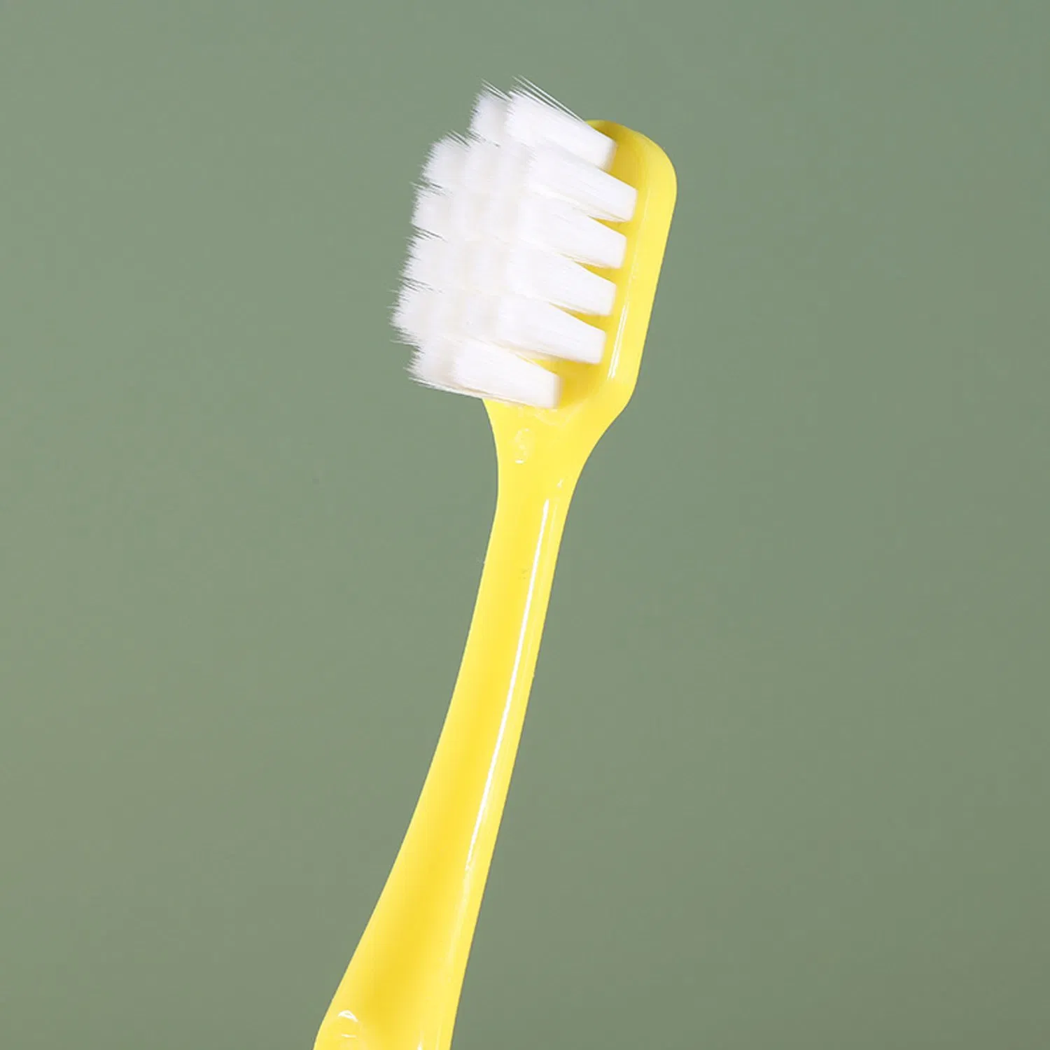 Wholesale Macaron Wide Brush Head Soft Bristle Adult Family Toothbrush